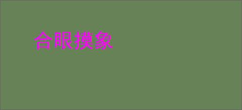 合眼摸象