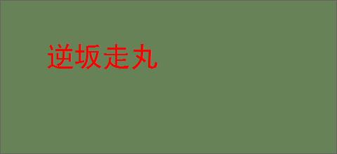 逆坂走丸