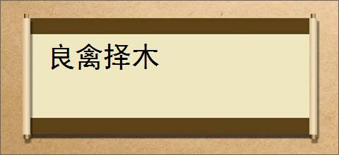 良禽择木