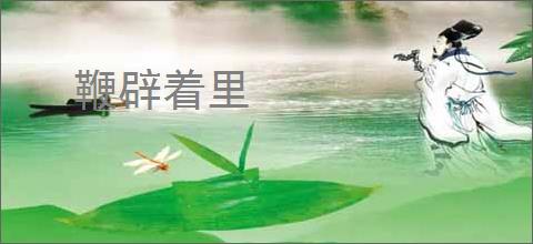 鞭辟着里