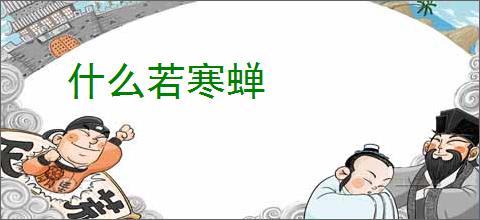 什么若寒蝉