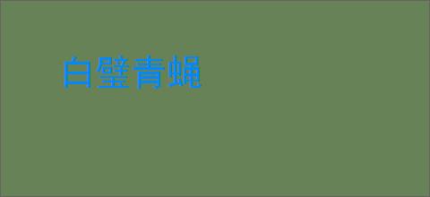 白璧青蝇
