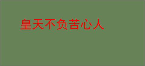 皇天不负苦心人