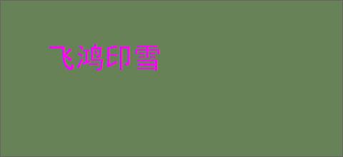 飞鸿印雪