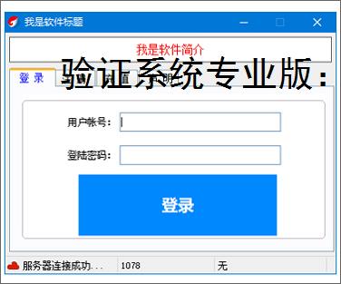 验证系统专业版:多维度软件防护方案解析