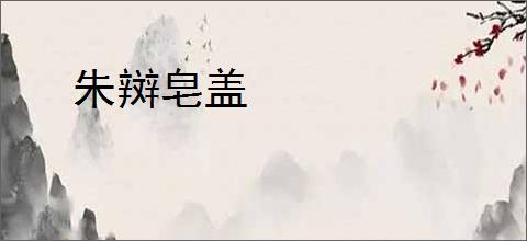 朱辬皂盖