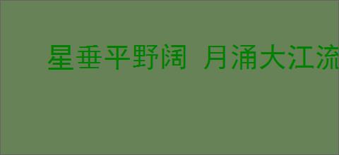 星垂平野阔 月涌大江流