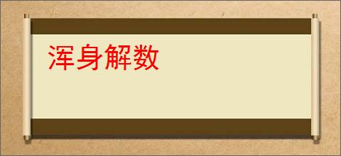 浑身解数