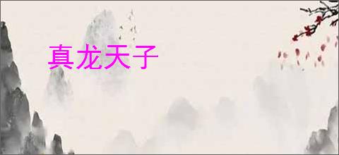 真龙天子