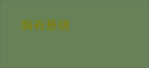 胸有悬镜