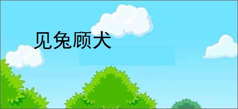 见兔顾犬
