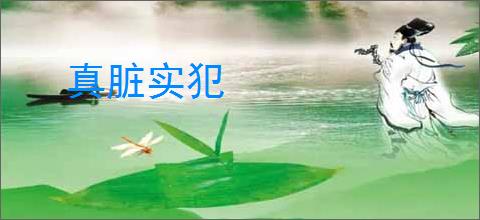 真脏实犯